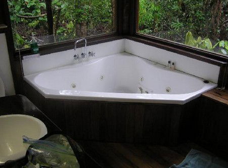 The Canopy Rainforest Tree Houses And Wildlife Sanctuary - Accommodation Australia 0