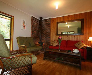 The Canopy Rainforest Tree Houses And Wildlife Sanctuary - Accommodation Australia 1