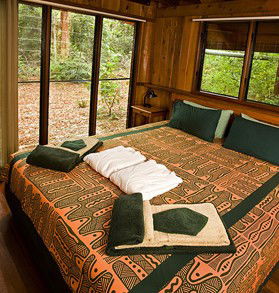 The Canopy Rainforest Tree Houses And Wildlife Sanctuary - Accommodation Australia 2