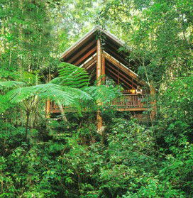 The Canopy Rainforest Tree Houses And Wildlife Sanctuary - Accommodation Australia 5