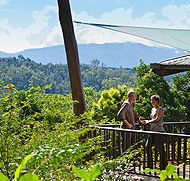 Rose Gums Wilderness Retreat - Local Tourism