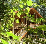 Rivers Edge Rainforest Retreat - Accommodation Australia