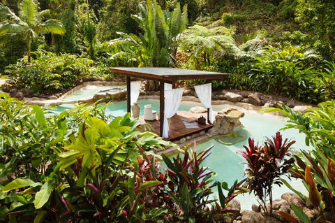 Misty Mountains Tropical Rainforest Romantic Retreat - Accommodation Australia 3