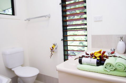 Misty Mountains Tropical Rainforest Romantic Retreat - Accommodation Australia 5