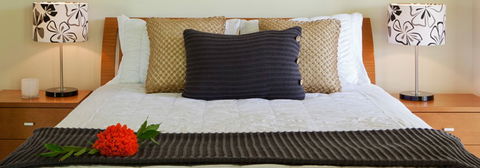 Misty Mountains Tropical Rainforest Romantic Retreat - Accommodation Australia 7