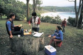 Fortescue Bay TAS Local Tourism