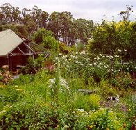 Plovers Ridge Country Retreat - Accommodation Australia