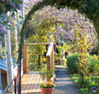 Penarth Haven - Local Tourism