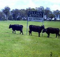 Cluan Homestead - The Managers Residence - Accommodation Australia