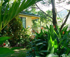 Daintree Valley Haven - Local Tourism 0