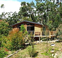 Southern Forest Accommodation - Accommodation Australia