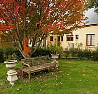 Grandma's House - Local Tourism