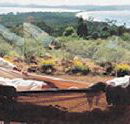 Morella Island Retreats P/L - Accommodation Australia