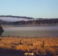 Fonthill - Accommodation Australia