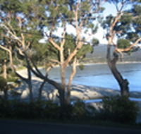 Bruny Island Retreat - Accommodation Australia