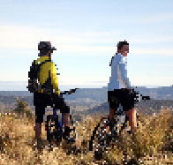 Twin Lakes Trout Fishery - Local Tourism