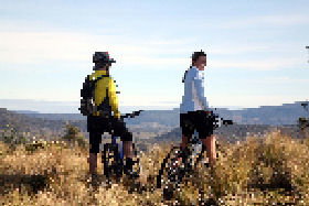 Twin Lakes Trout Fishery - Local Tourism 0