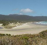 Cloudy Bay Cabin - Local Tourism