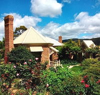 Moving Image Boutique Guest House - Local Tourism