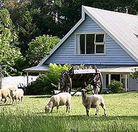 Hide-Away Cottage Retreat - Accommodation Australia
