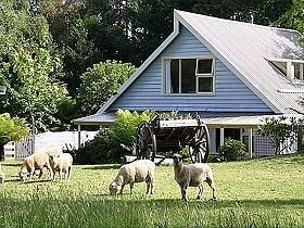 Hide-Away Cottage Retreat - Accommodation Australia 0
