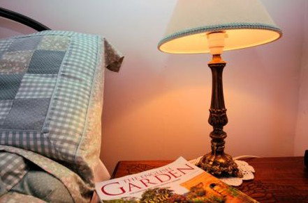 Wilmot Arms Inn - Bed n Breakfasts 4