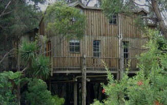 Crayfish Creek Van And Cabin Park And Spa House - Local Tourism 3