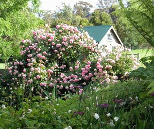 Conmel Cottage - Accommodation Australia 2