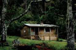 Mountain Valley Wilderness Holidays - Local Tourism 1