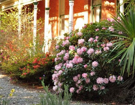 Ormiston House - Local Tourism 3