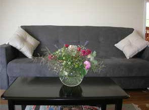 Arcadia Holiday House - Australia Shopping 3