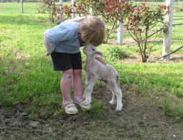 Taras Richmond Farmstay - Australia Shopping 3