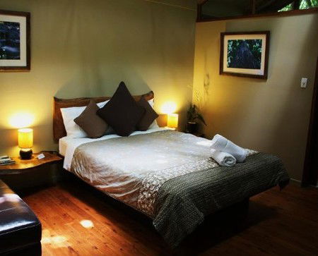 Daintree Wilderness Lodge - Accommodation Australia 2