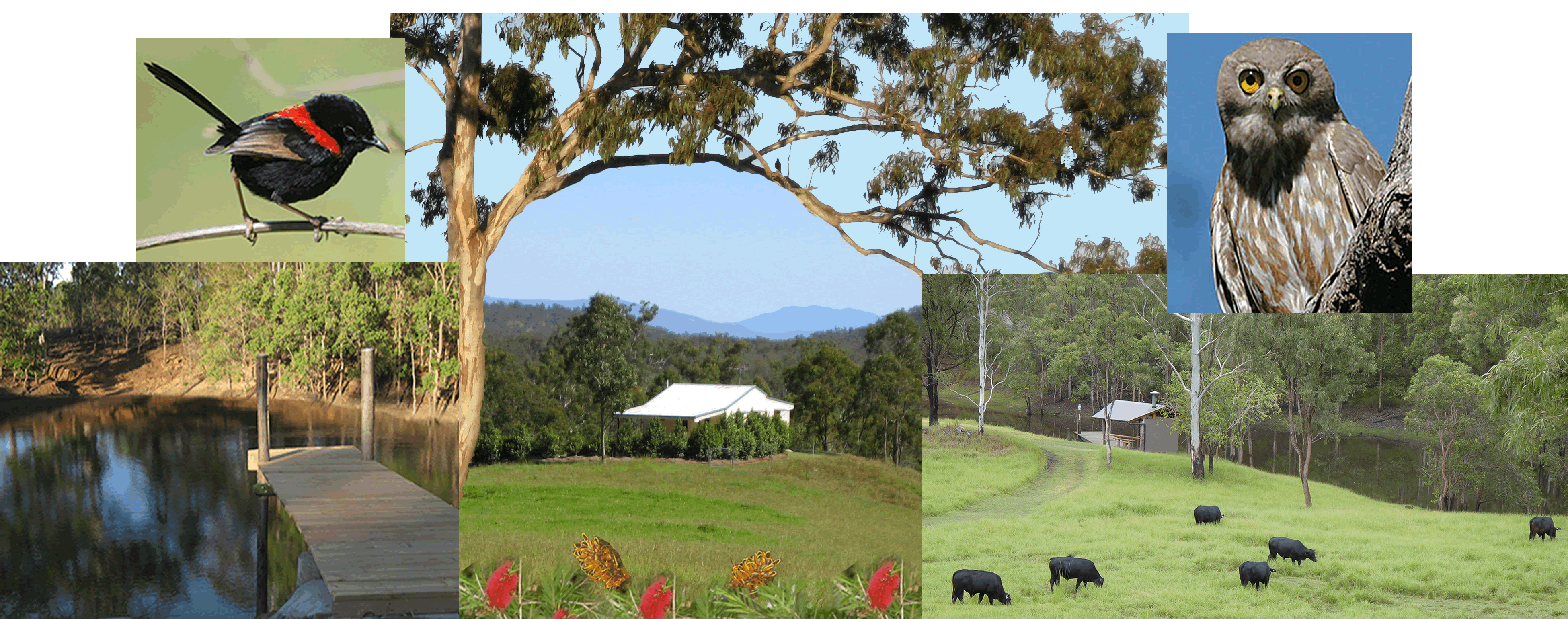 Barking Owl Retreat - Local Tourism