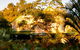 Peppertree Cottage Boutique Bed And Breakfast - thumb 5
