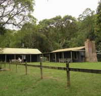 Tree Fern Lodge - Accommodation Australia
