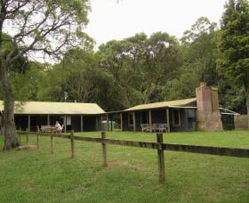 Tree Fern Lodge - Accommodation Australia 0