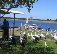 Mountain View Caravan and Mobile Home Village - Accommodation Australia