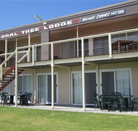 Coral Tree Lodge Tourist Park - Accommodation Australia
