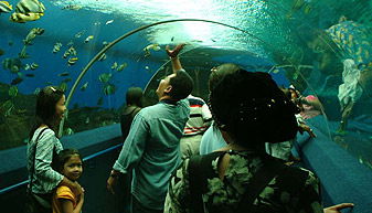 Catalina Resort - Local Tourism 7