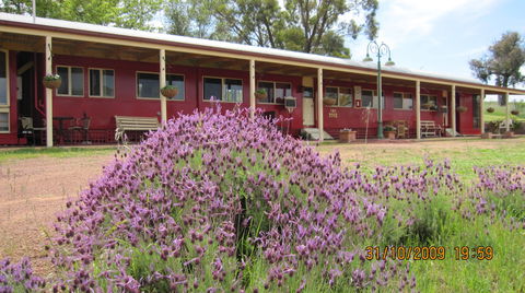 Last Stop Ambledown Brook - Local Tourism 3