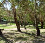 Woods Reserve - Local Tourism