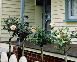 Rose Cottage Bed & Breakfast - Accommodation Australia 3