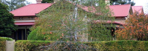 Silver Birch Bed & Breakfast - Accommodation Australia 4