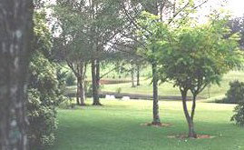 Ferngrove Estate - Local Tourism 1