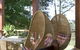 Bodalla Dairy Shed - thumb 5