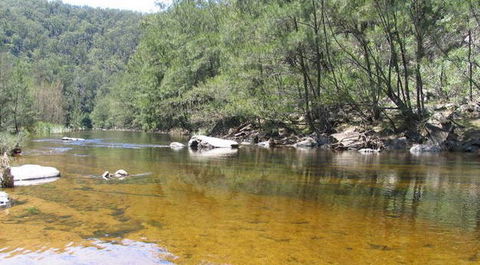 Bakers Flat Cottages - Local Tourism 0