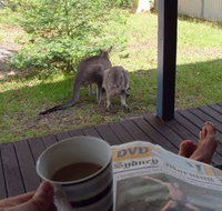Bush and Bay Cottage - Accommodation Australia