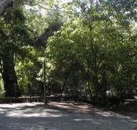 Booderee National Park Green Patch camping area - Local Tourism