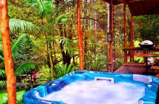 A Waterfall Hideout-Rainforest Cabin For Couples - Local Tourism 5